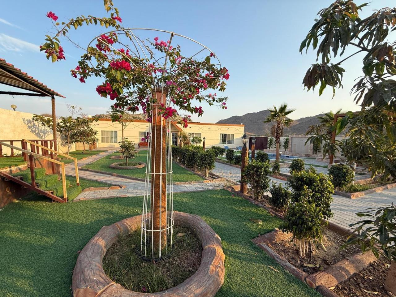 800 Mountain Resort Vacation House 富吉拉 外观 照片